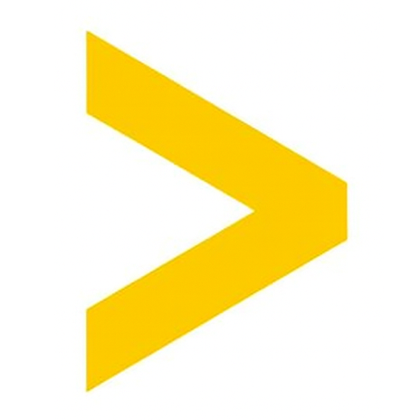 WebsiteCity Logo Signet